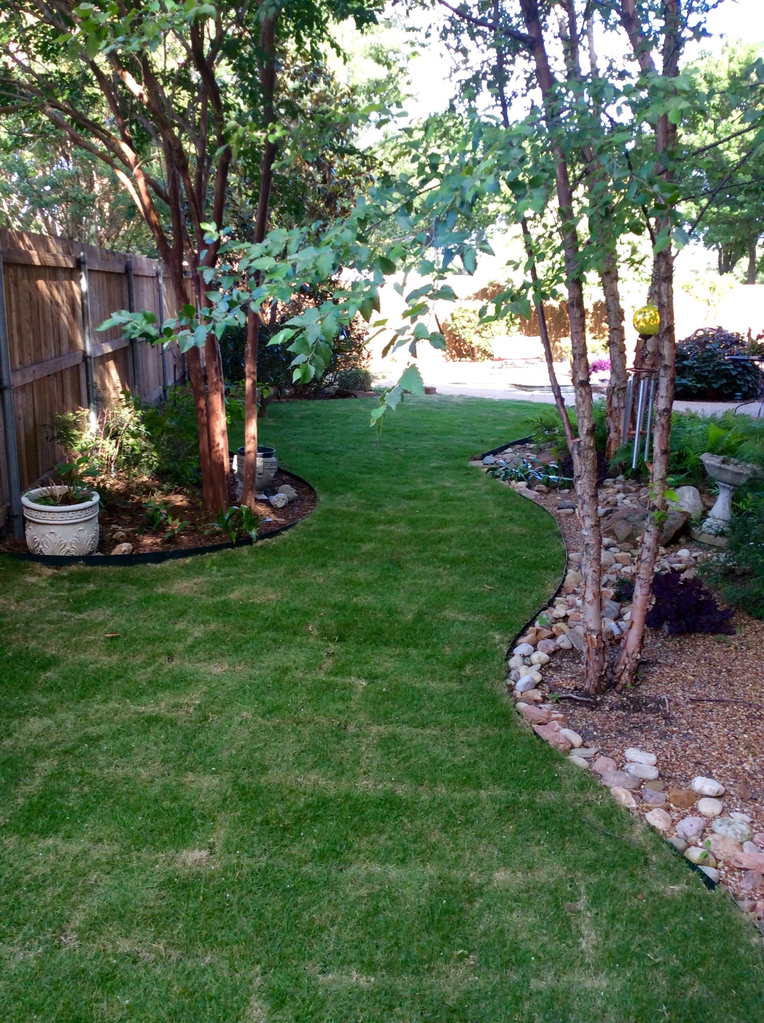 best-grass-for-shade-in-north-texas-st-augustine-and-zoysia