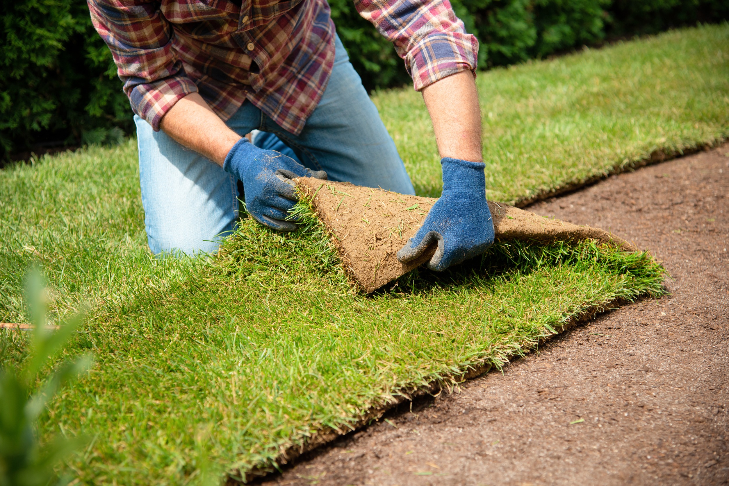 get sod installed