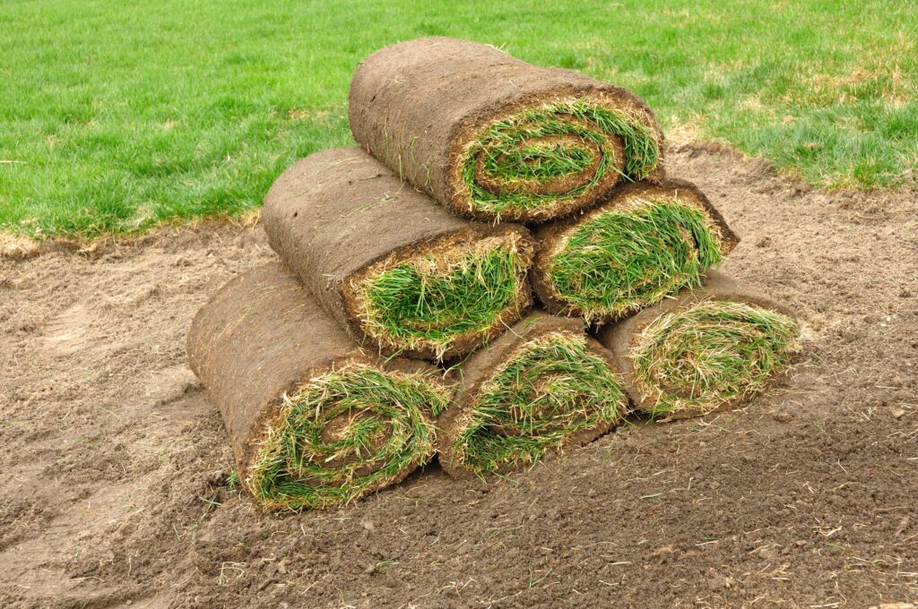 Should You Lay Sod in the Fall?
