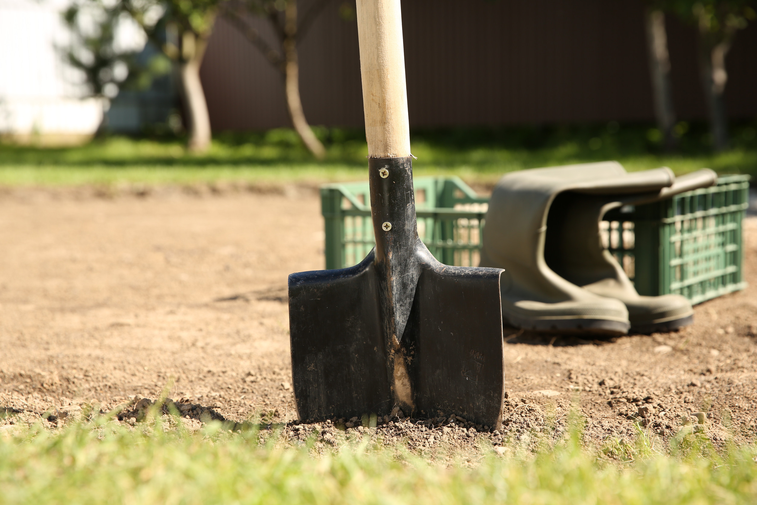 prepare lawn for sod