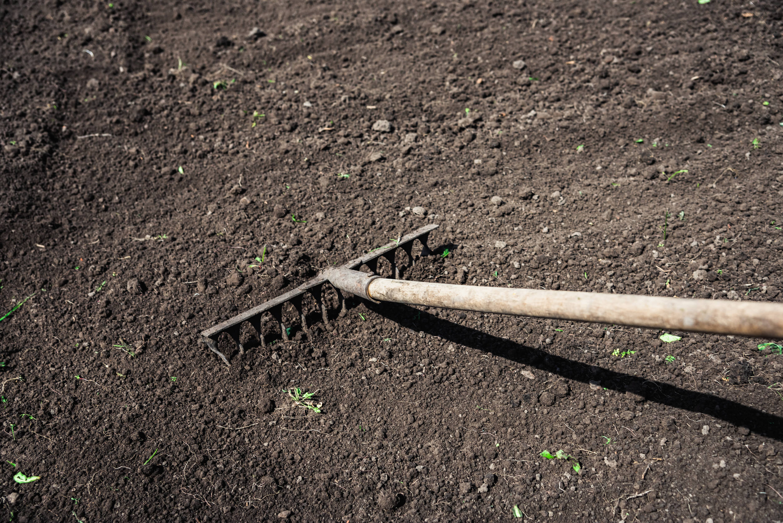 prepare ground for sod