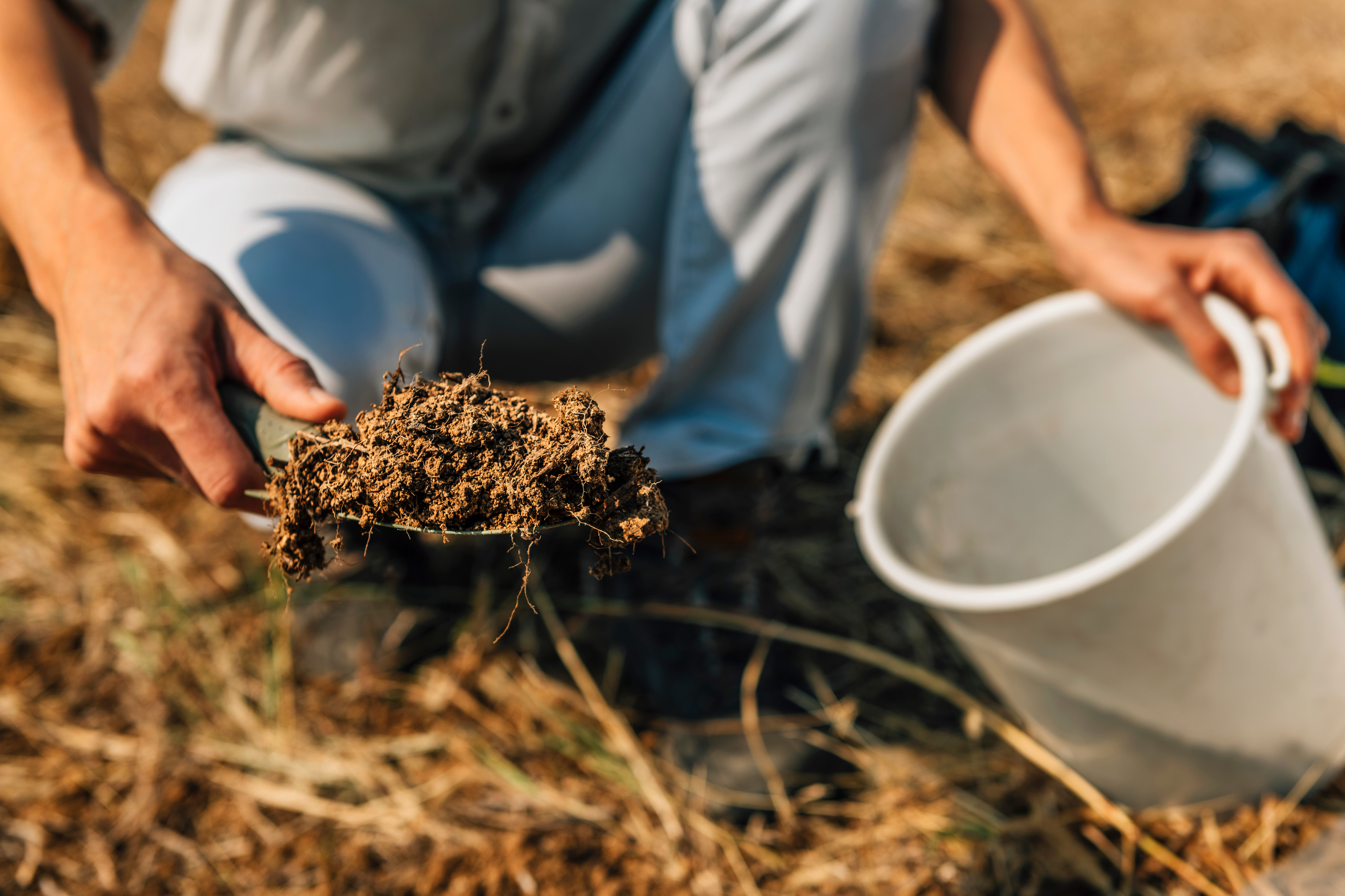 test soil before laying sod