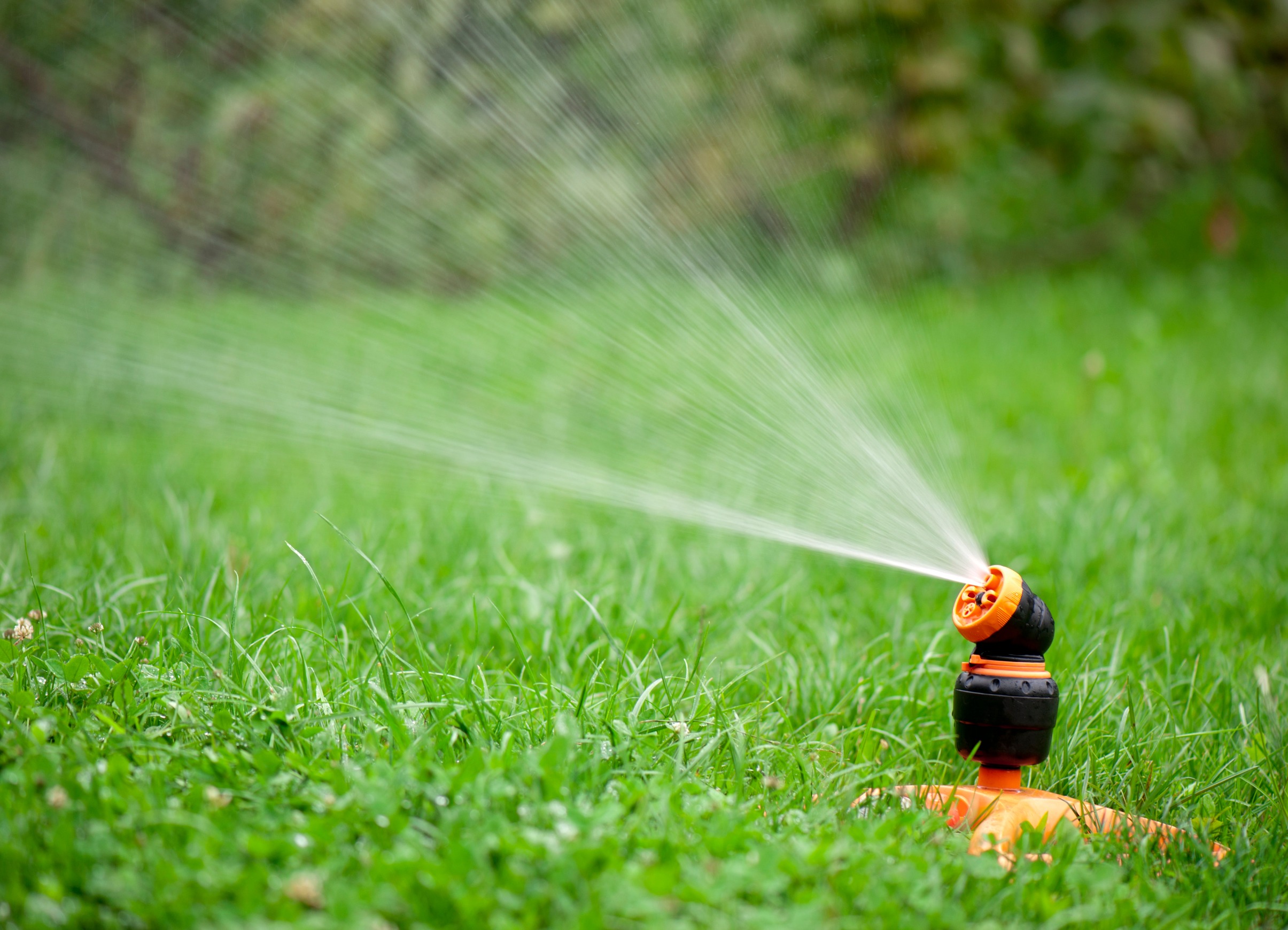 water new sod